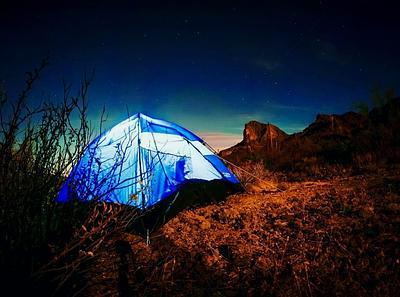 Lost Dutchman State Park Campground