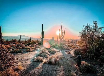 McDowell Mountain Regional Park Campground