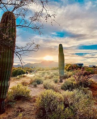 McDowell Mountain Regional Park Campground