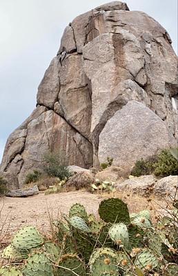 McDowell Mountains