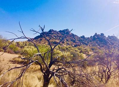 McDowell Mountains