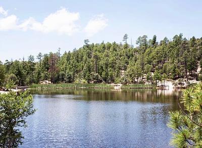 Rose Canyon Lake Campground