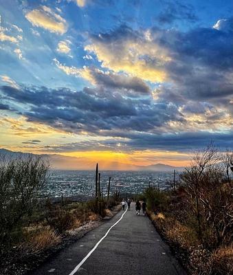 Tumamoc Hill Trailhead