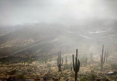 Tumamoc Hill Trailhead