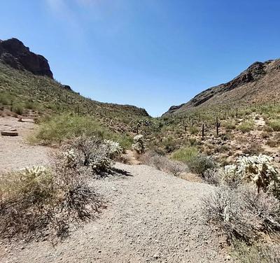 Tucson Mountain Park