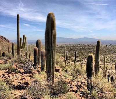 36th street Trailhead 