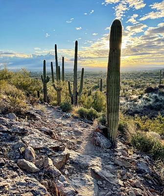 36th street Trailhead 