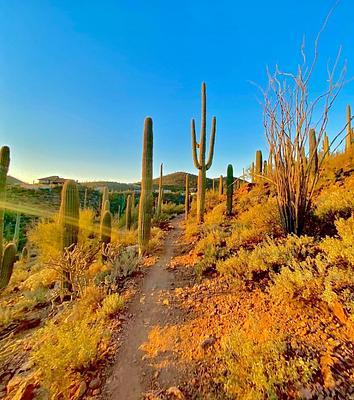 36th street Trailhead 