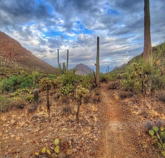 David Yetman West Trailhead