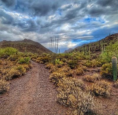 David Yetman West Trailhead