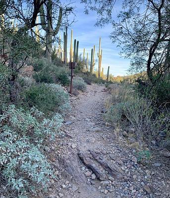 David Yetman West Trailhead