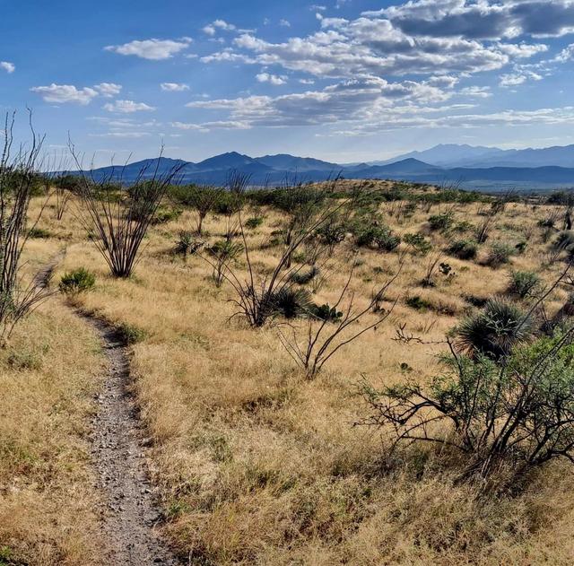 McKenzie Ranch Trailhead