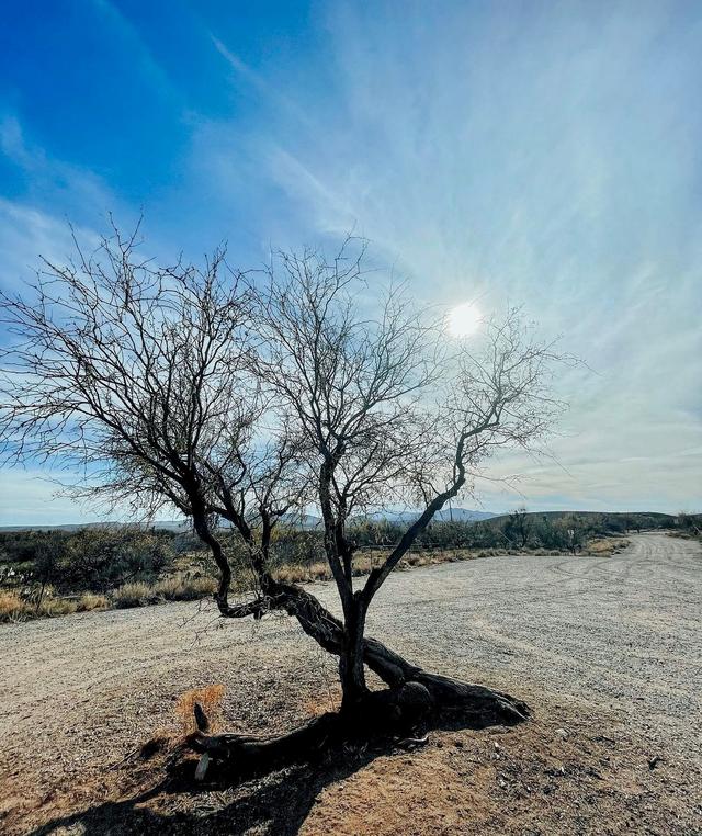 McKenzie Ranch Trailhead