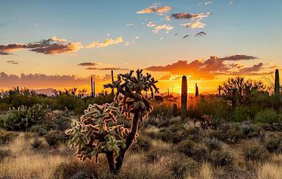 Tucson Mountain Park