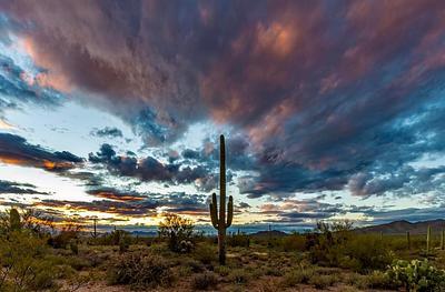 Tucson Mountain Park