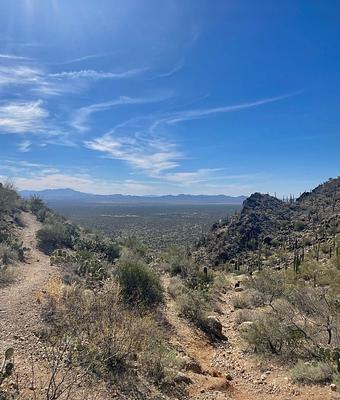 Tucson Mountain Park