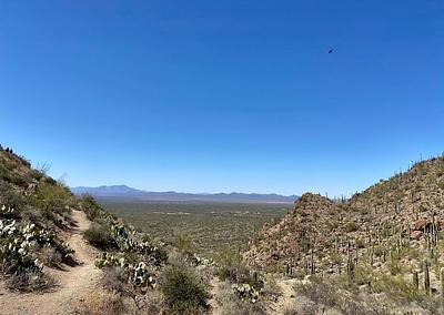 Tucson Mountain Park