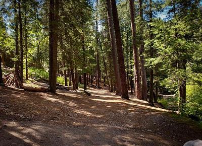 Mt. Lemmon Trailhead