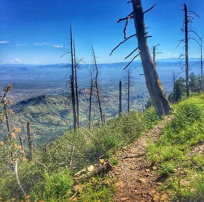 Mt. Lemmon Trailhead