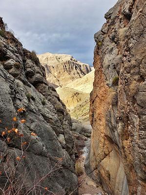 Virgin River Gorge