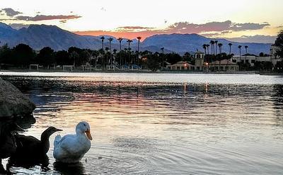 Lake Jacqueline