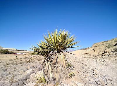 Lone Mountain Trailhead