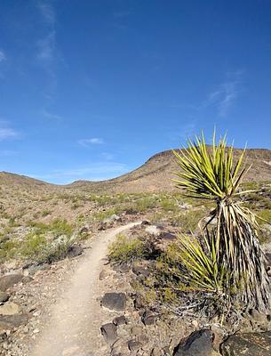 McCullough Hills Trailhead