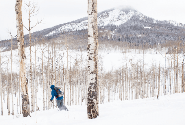 Bluebird Backcountry