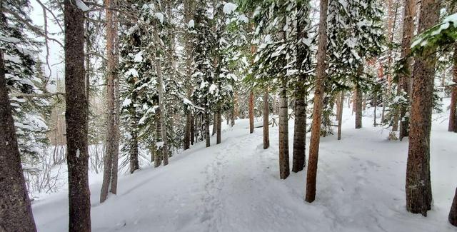 Bear Lake Trailhead