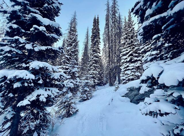 Bear Lake Trailhead