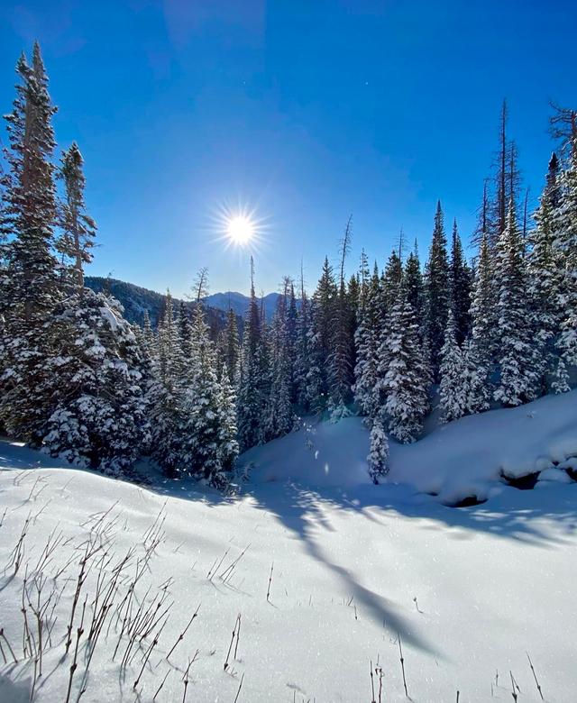 Longs Peak Trailhead