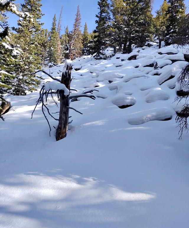 Longs Peak Trailhead