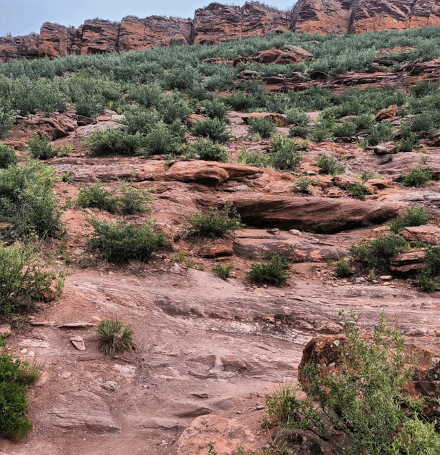 Blue Sky Trailhead