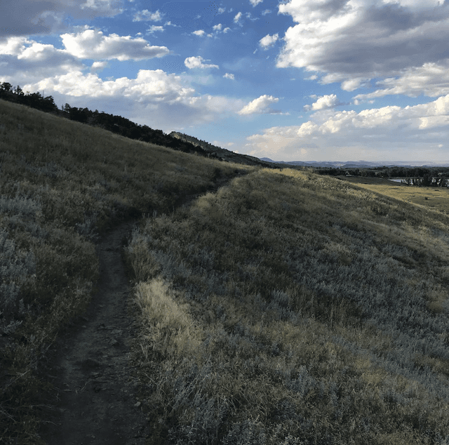 Pineridge Natural Area Trailhead