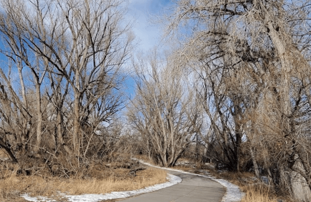 Poudre Trail