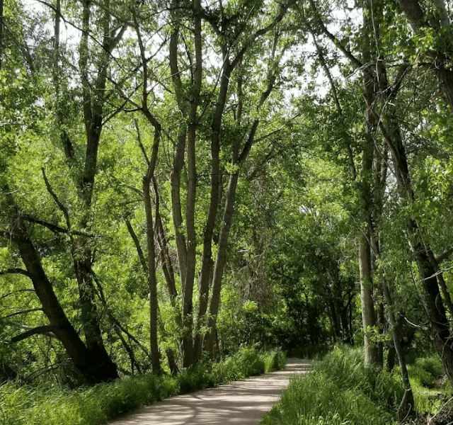 Poudre Trail