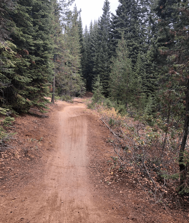 Wannoga Trailhead (Tiddlywinks & Funner trails)