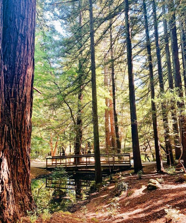 Sunnyvale Mountain Trailhead