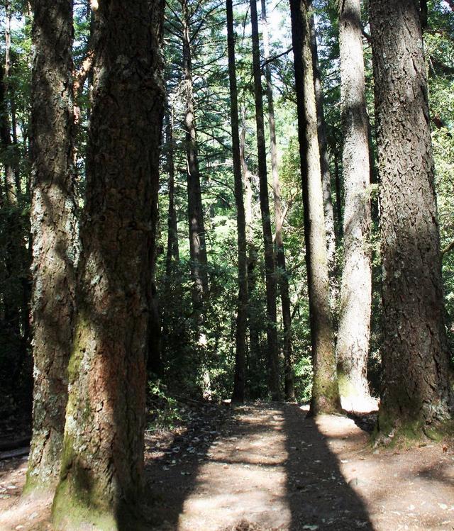 Sunnyvale Mountain Trailhead