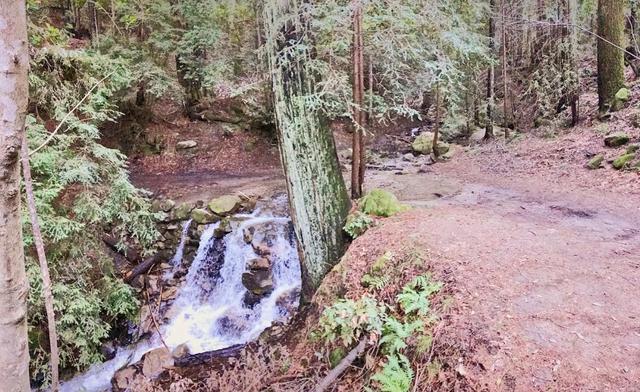 Sunnyvale Mountain Trailhead