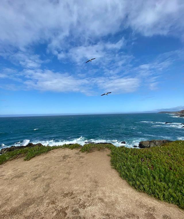 Bodega Bay Trailhead