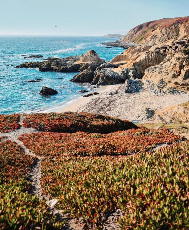 Bodega Bay Trailhead