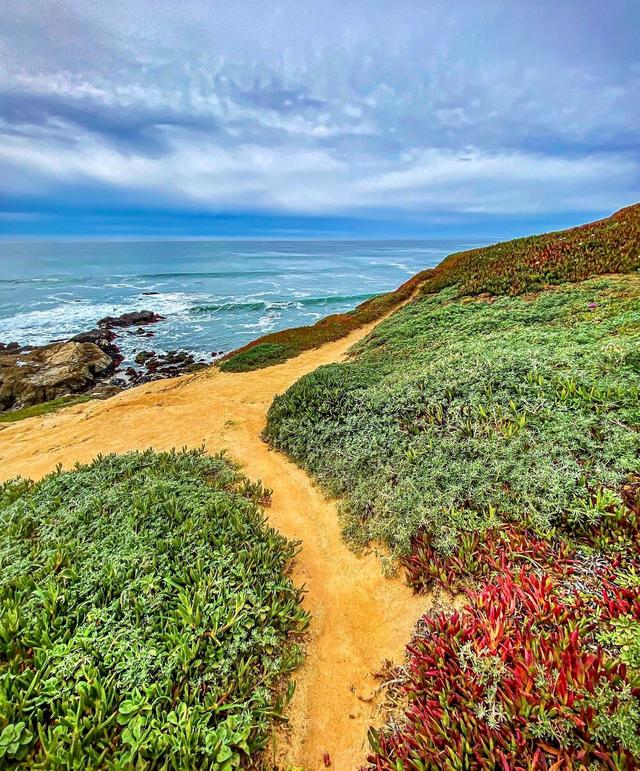 Bodega Bay Trailhead