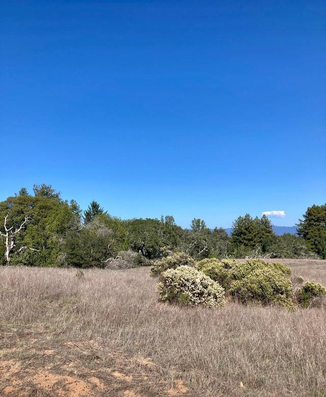 Lookout Trailhead