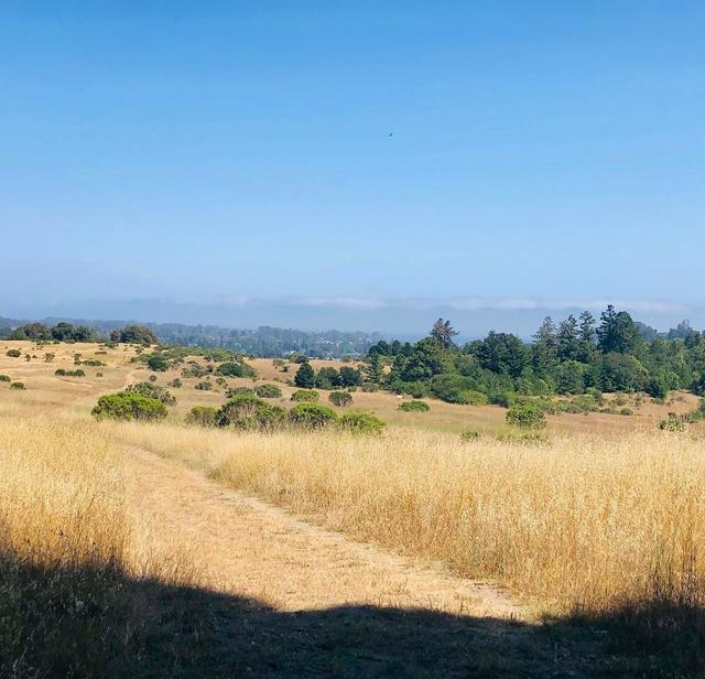 Lookout Trailhead