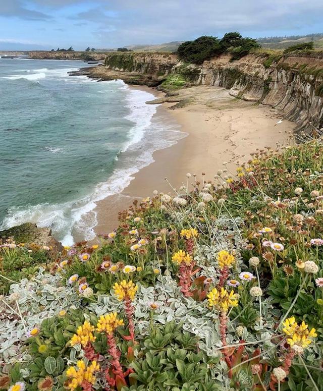 Old Landing Cove Trailhead