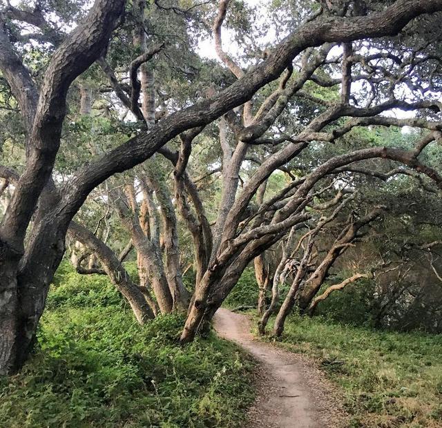 Old Landing Cove Trailhead