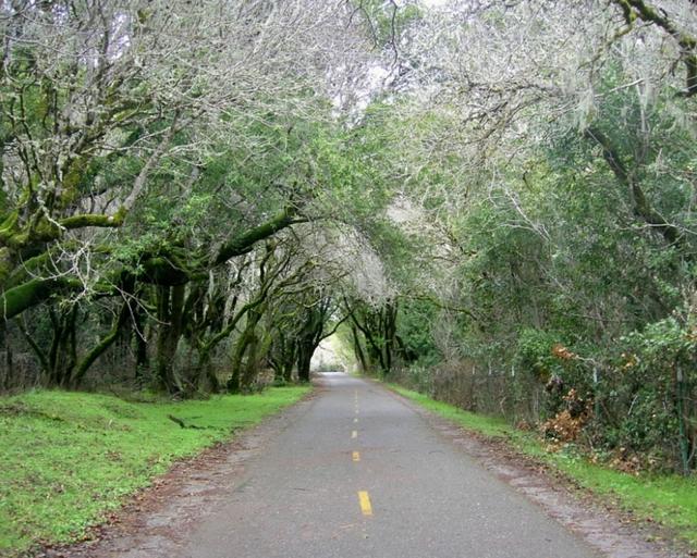 Crystal Springs Regional Trail