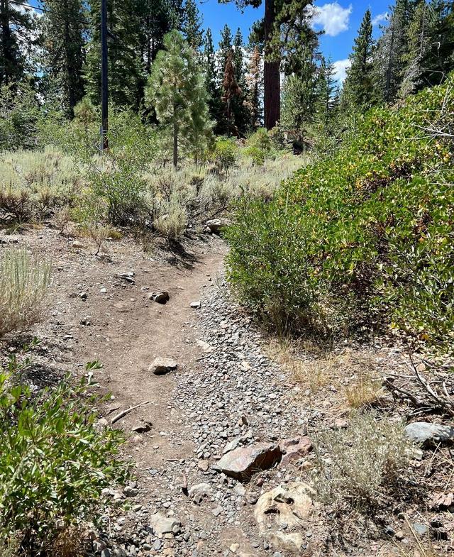 Mt. Tallac Trailhead