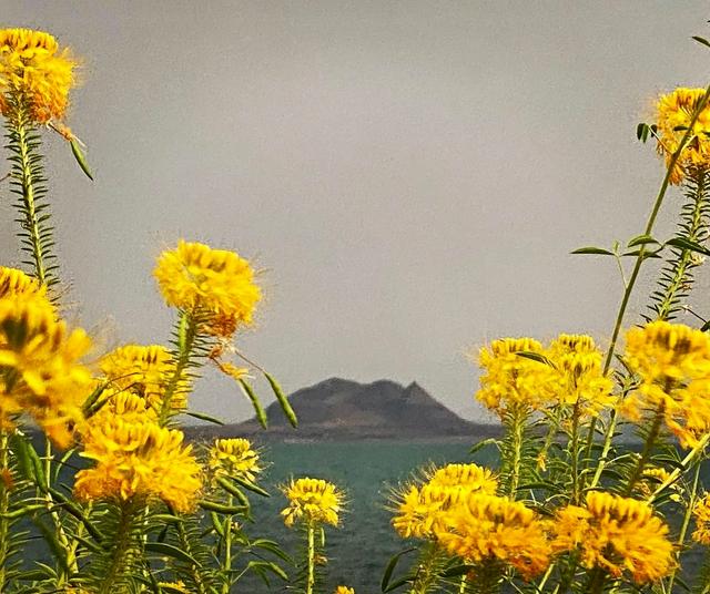 Windless Beach on Pyramid Lake